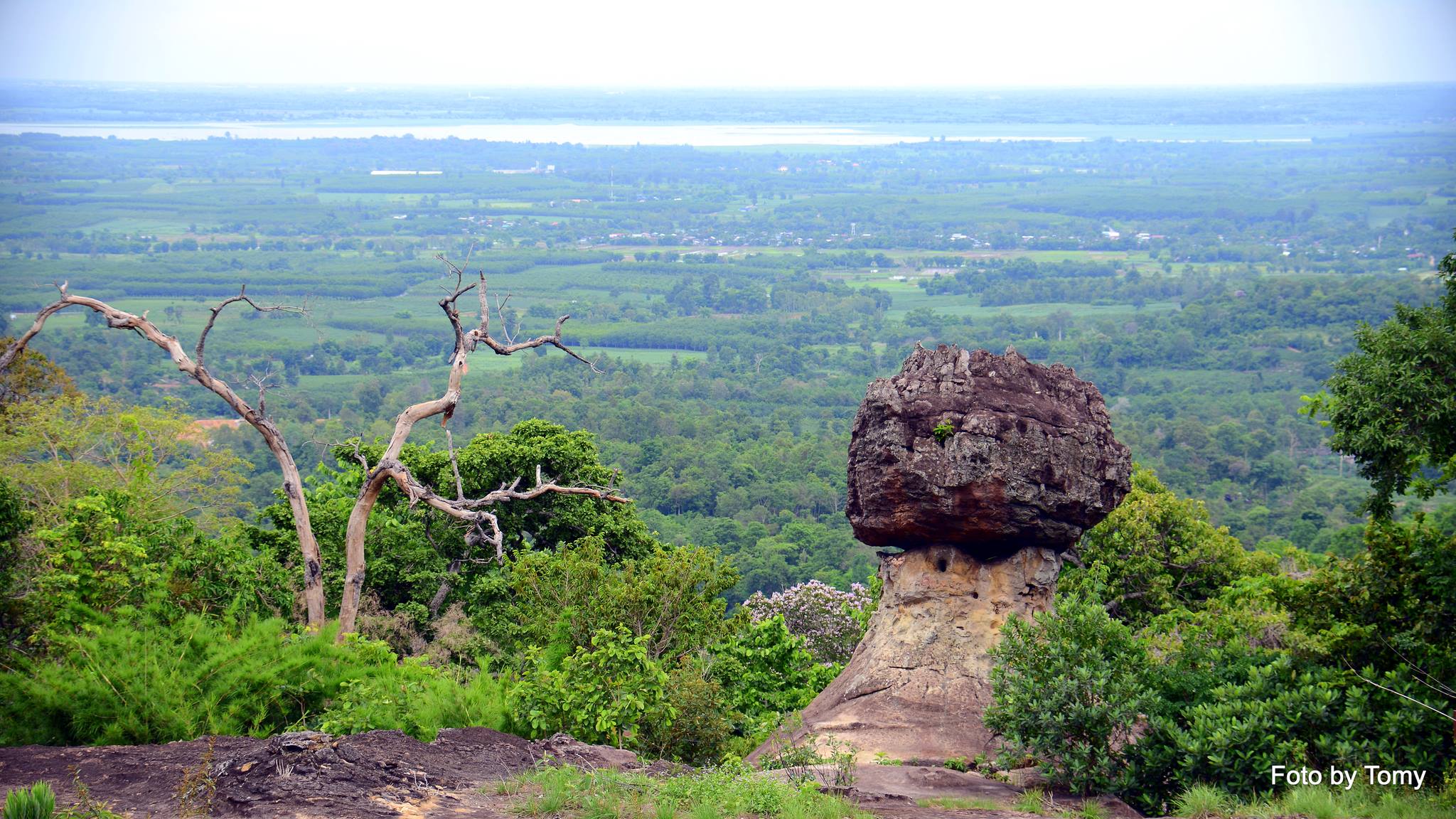 1374159619-1025746536-o